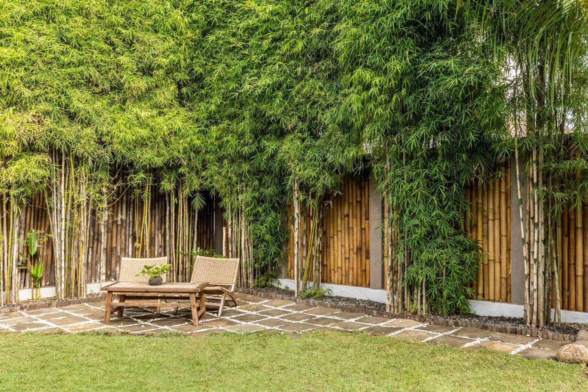 Rimba Villas Gili Air Pokój zdjęcie